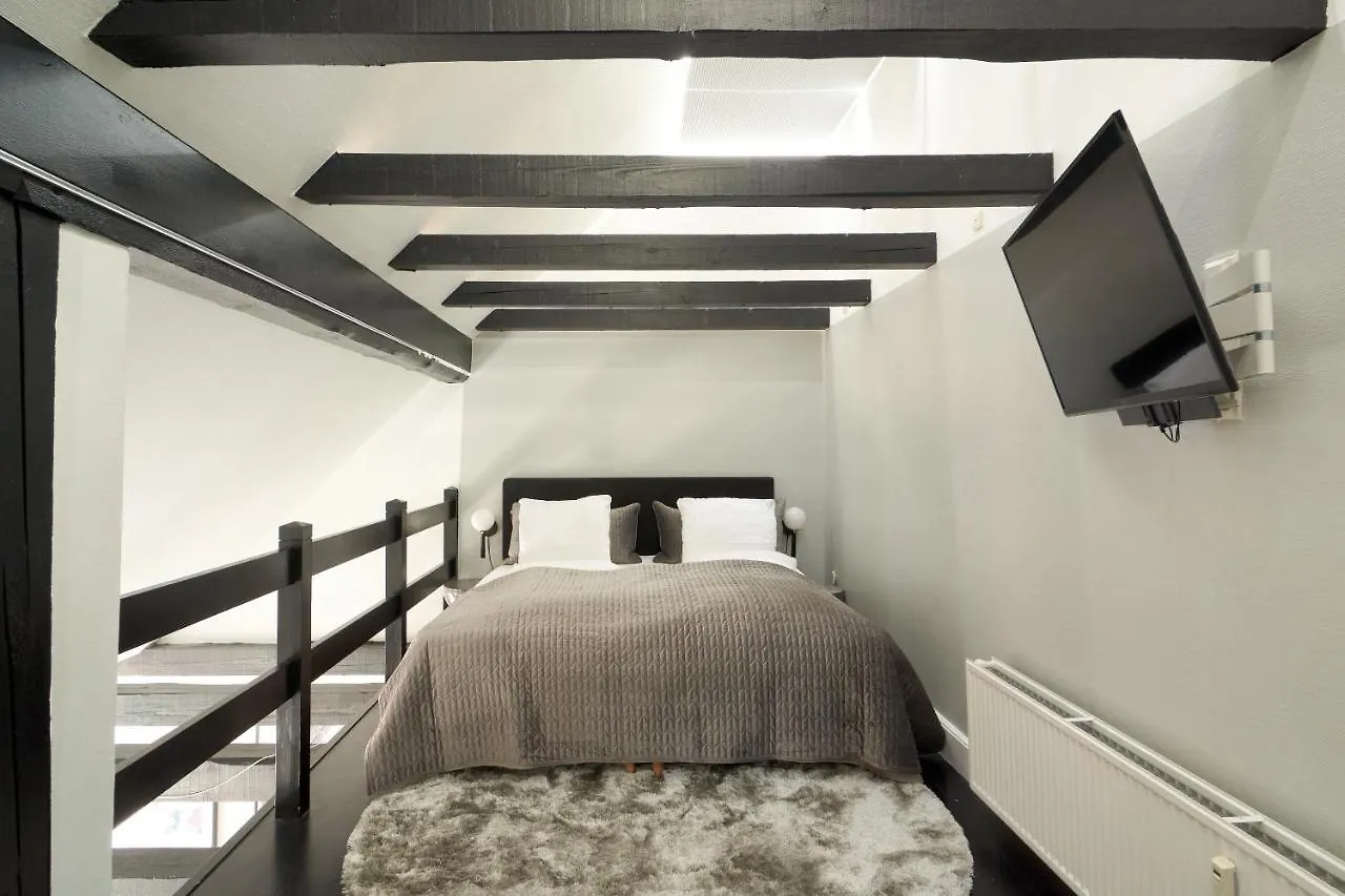 Unique 2 Bedroom Duplex W Exposed Beams In Cph City Copenhagen